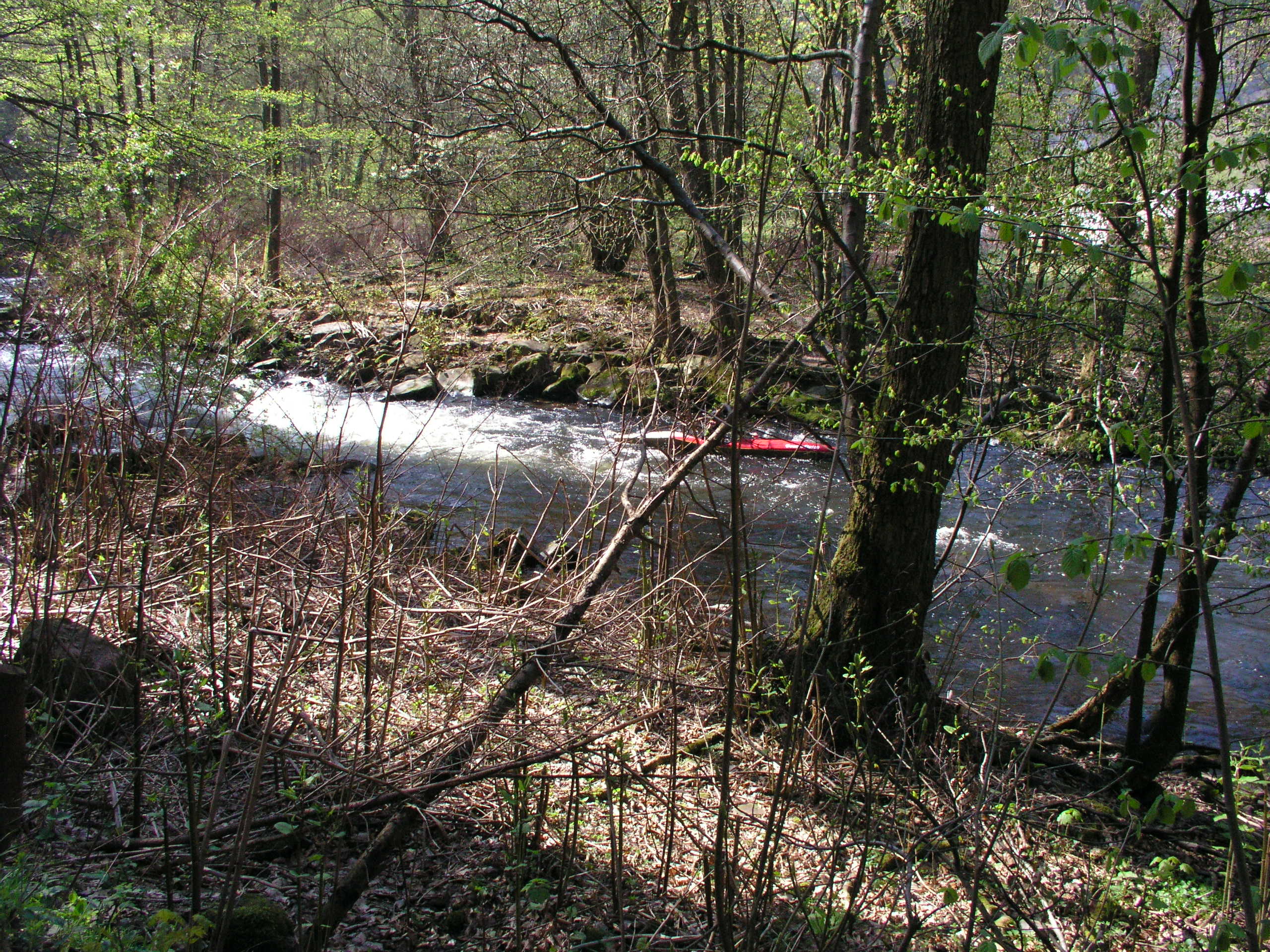 Birkenfeld_04