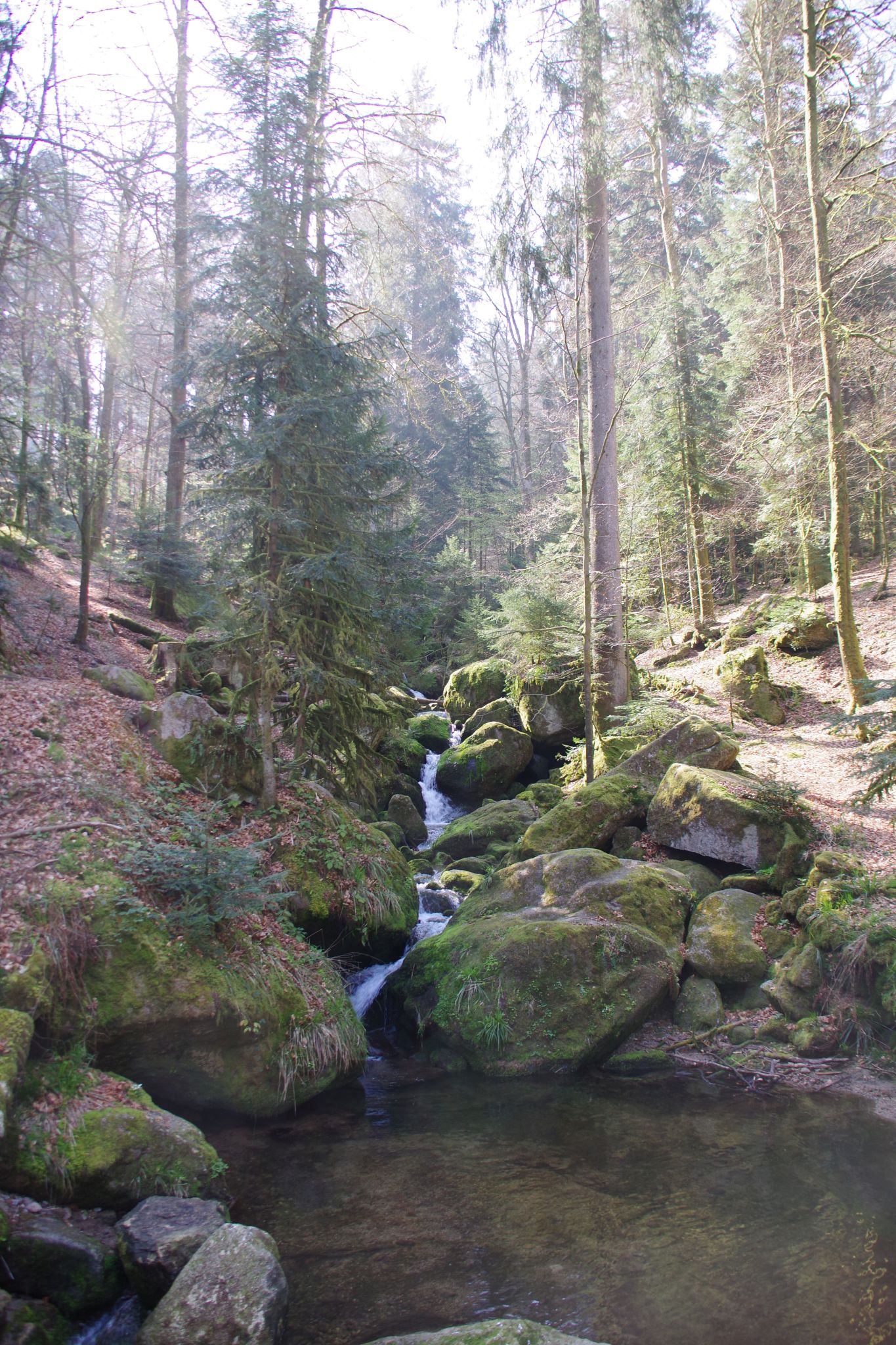 Ger2017_09