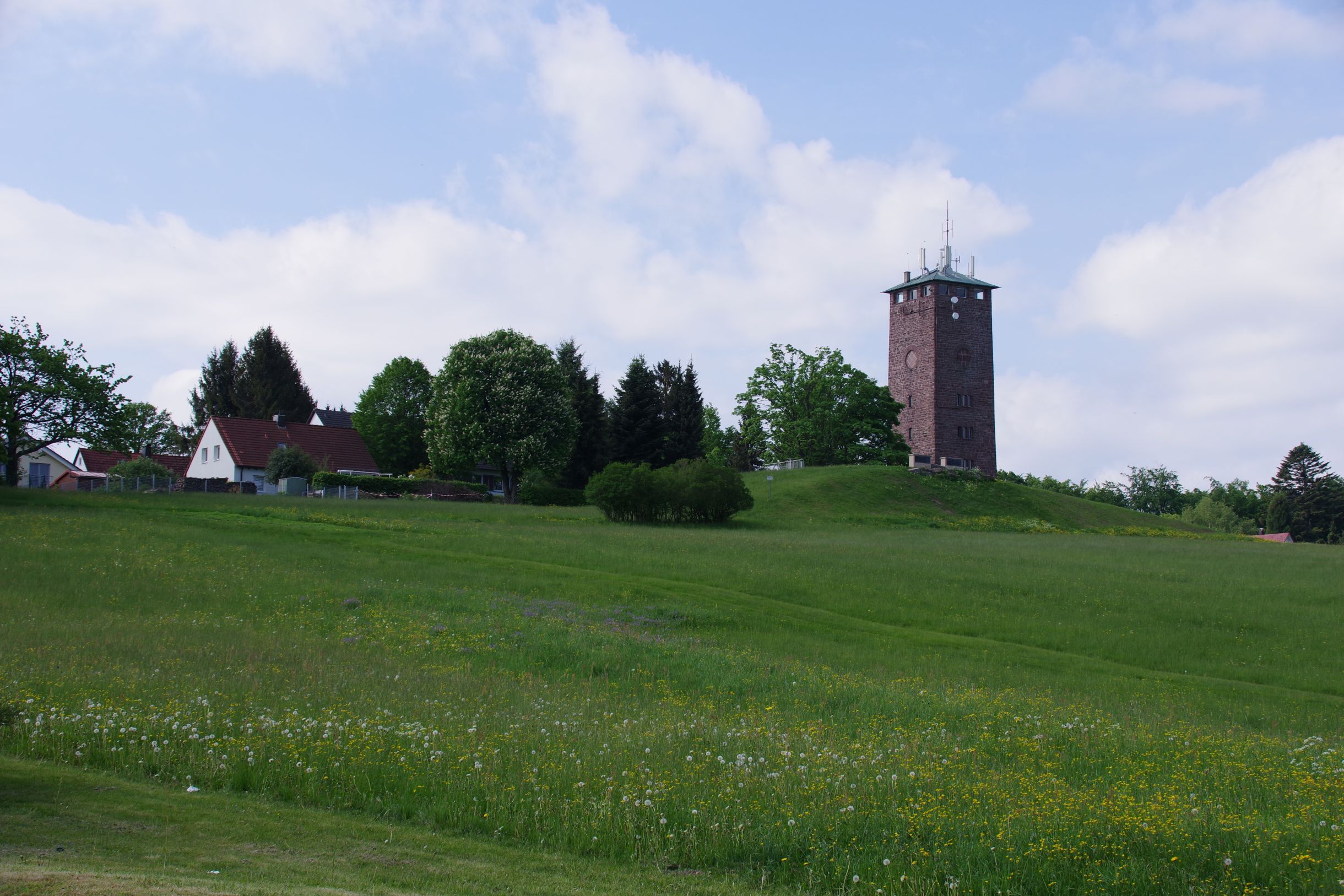 IMGP4688