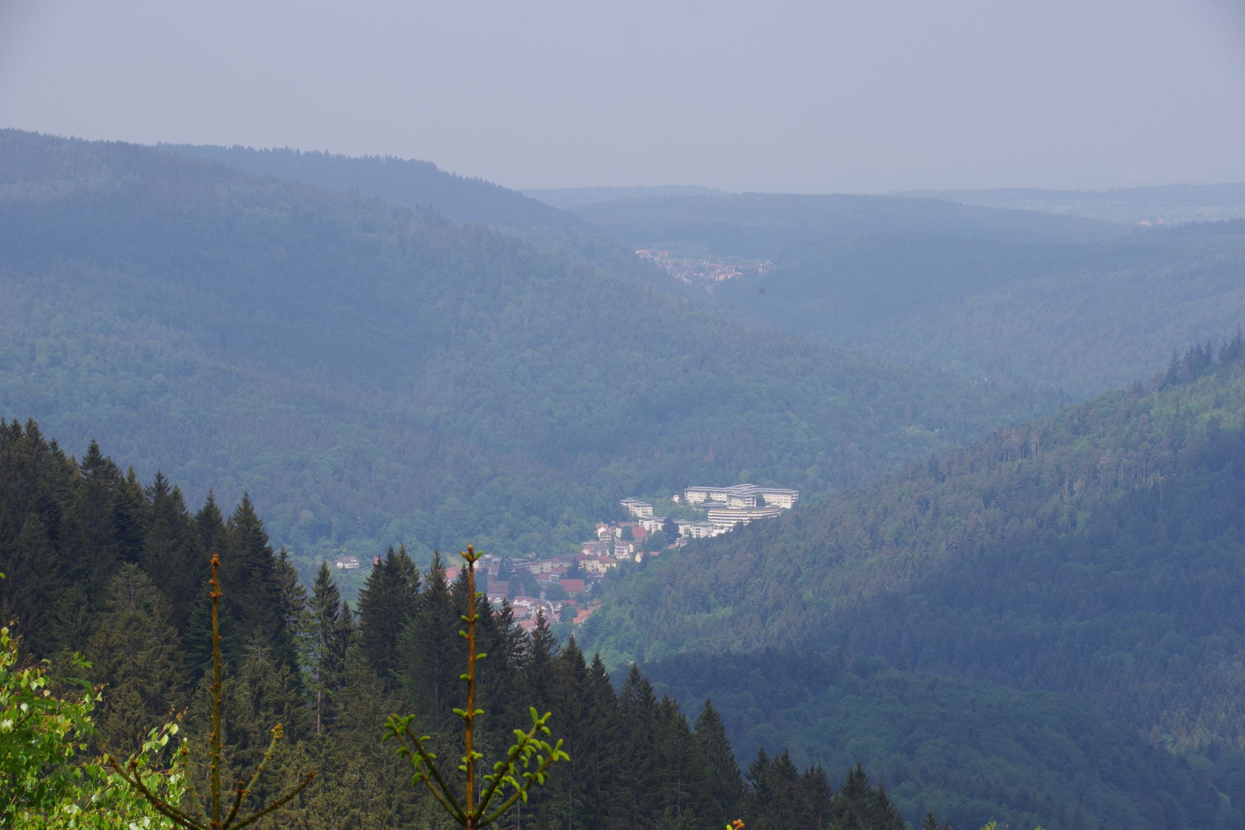IMGP4716