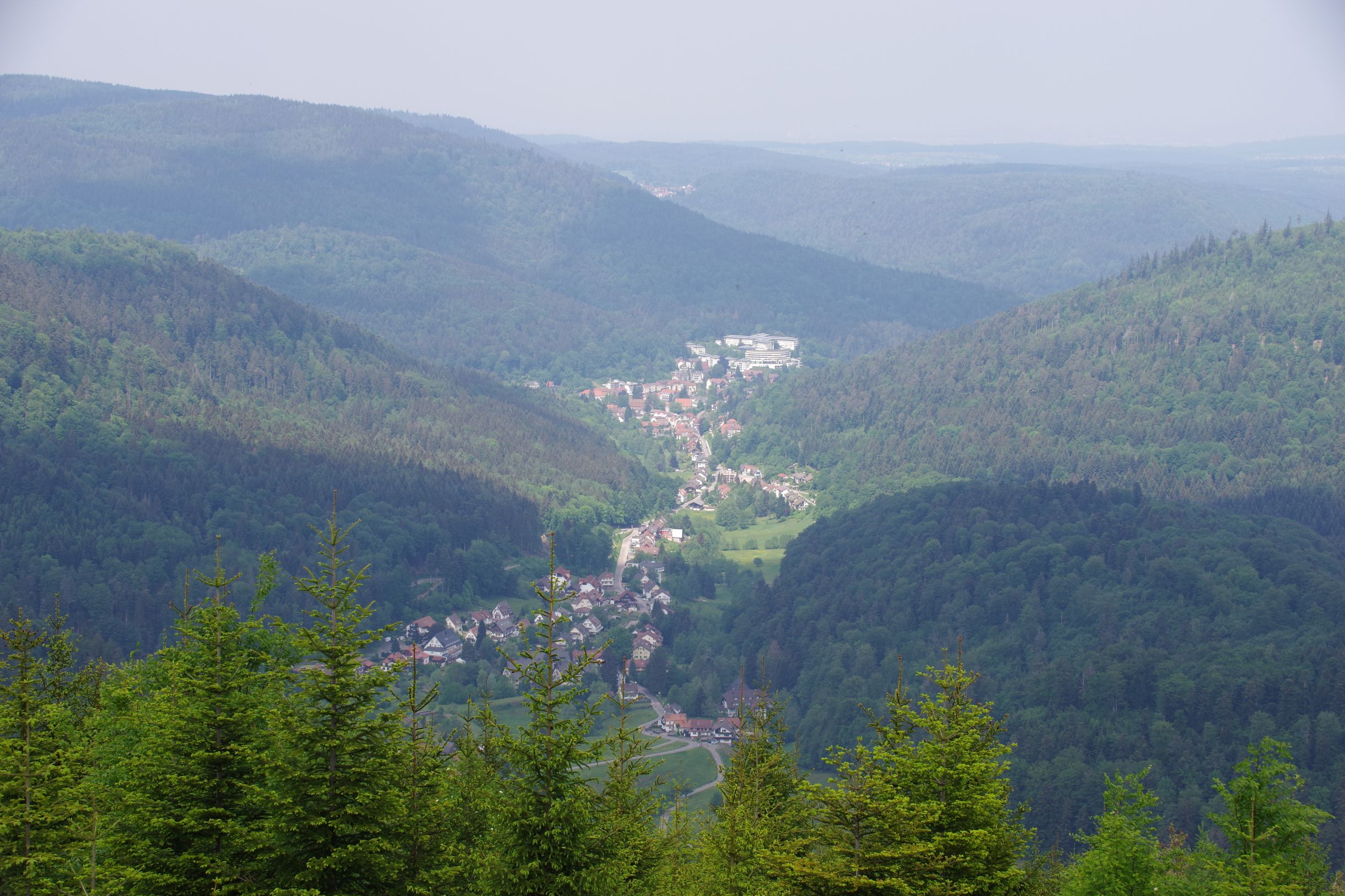 IMGP4720