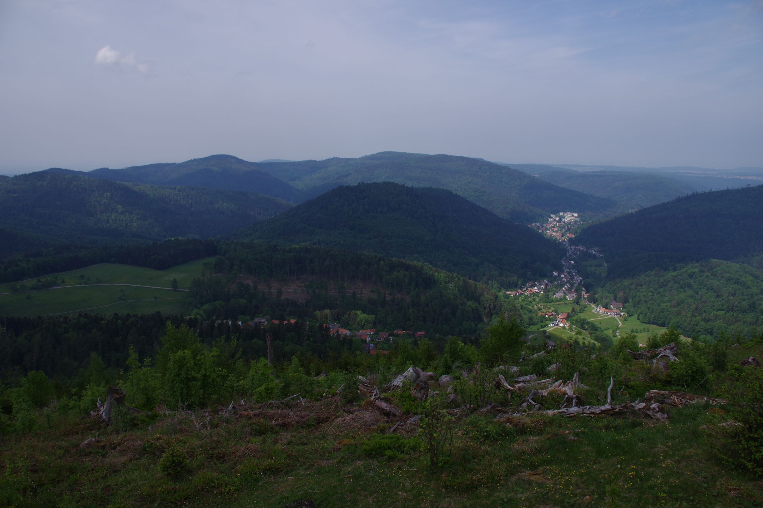 IMGP4733