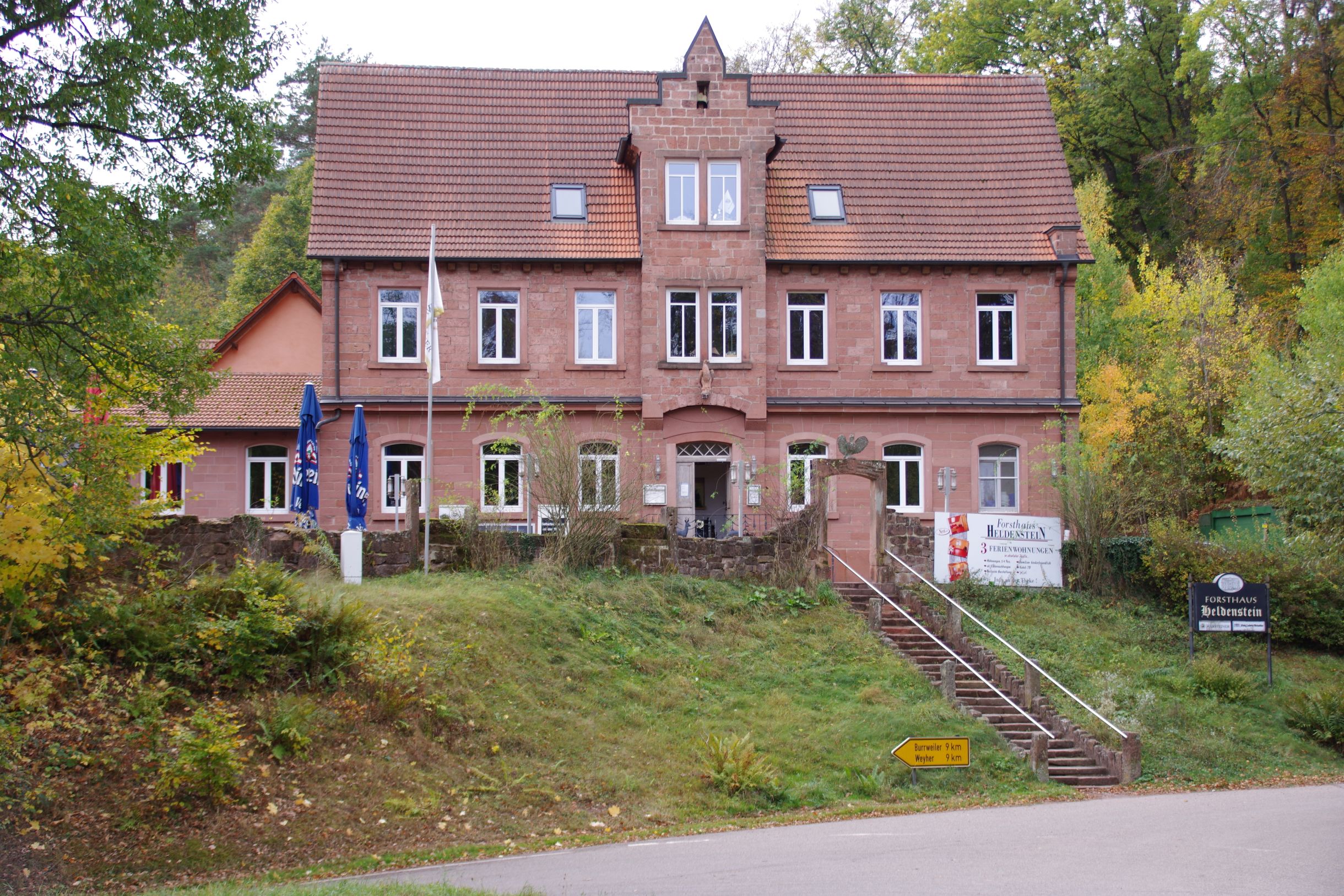 IMGP6067