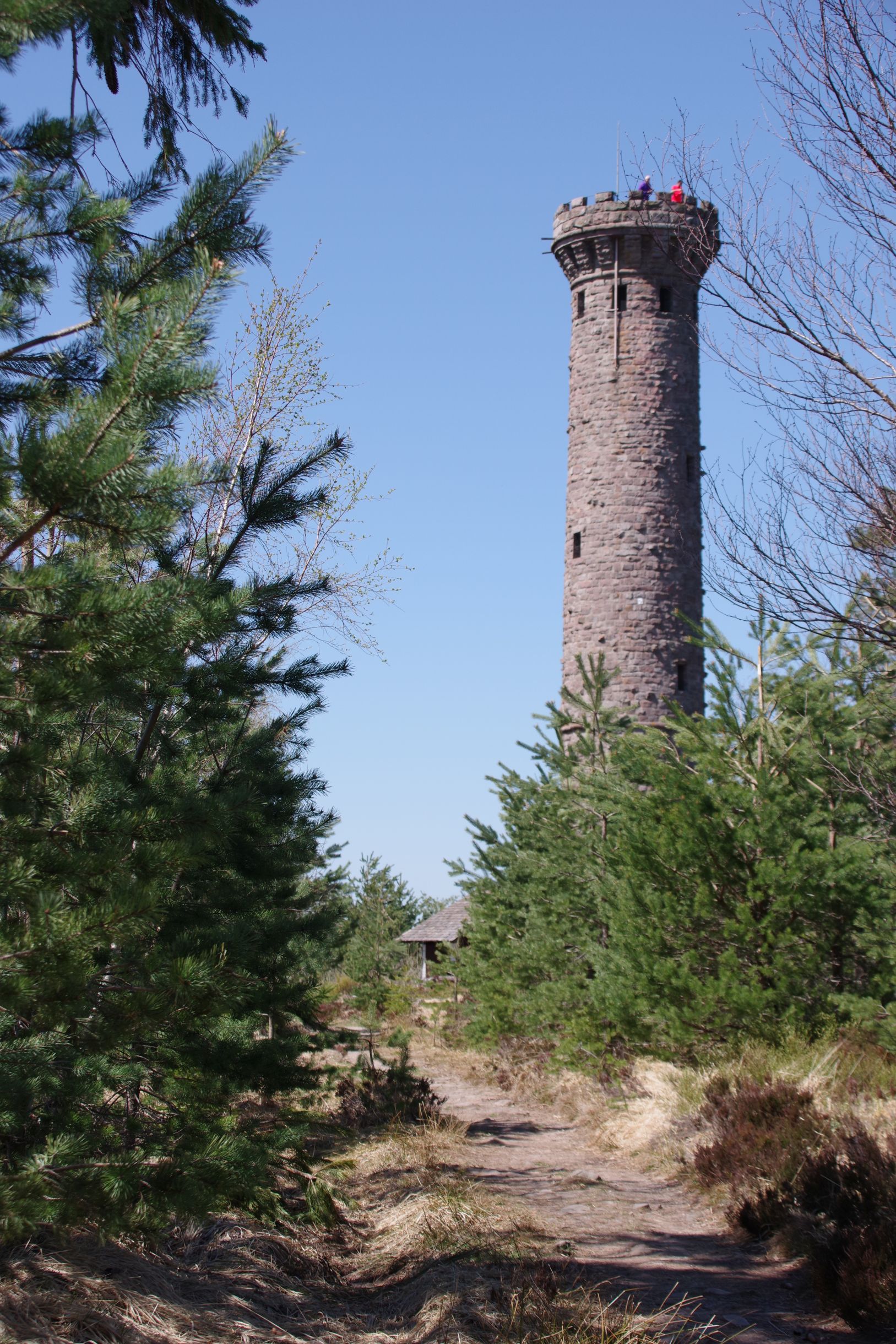 IMGP8552