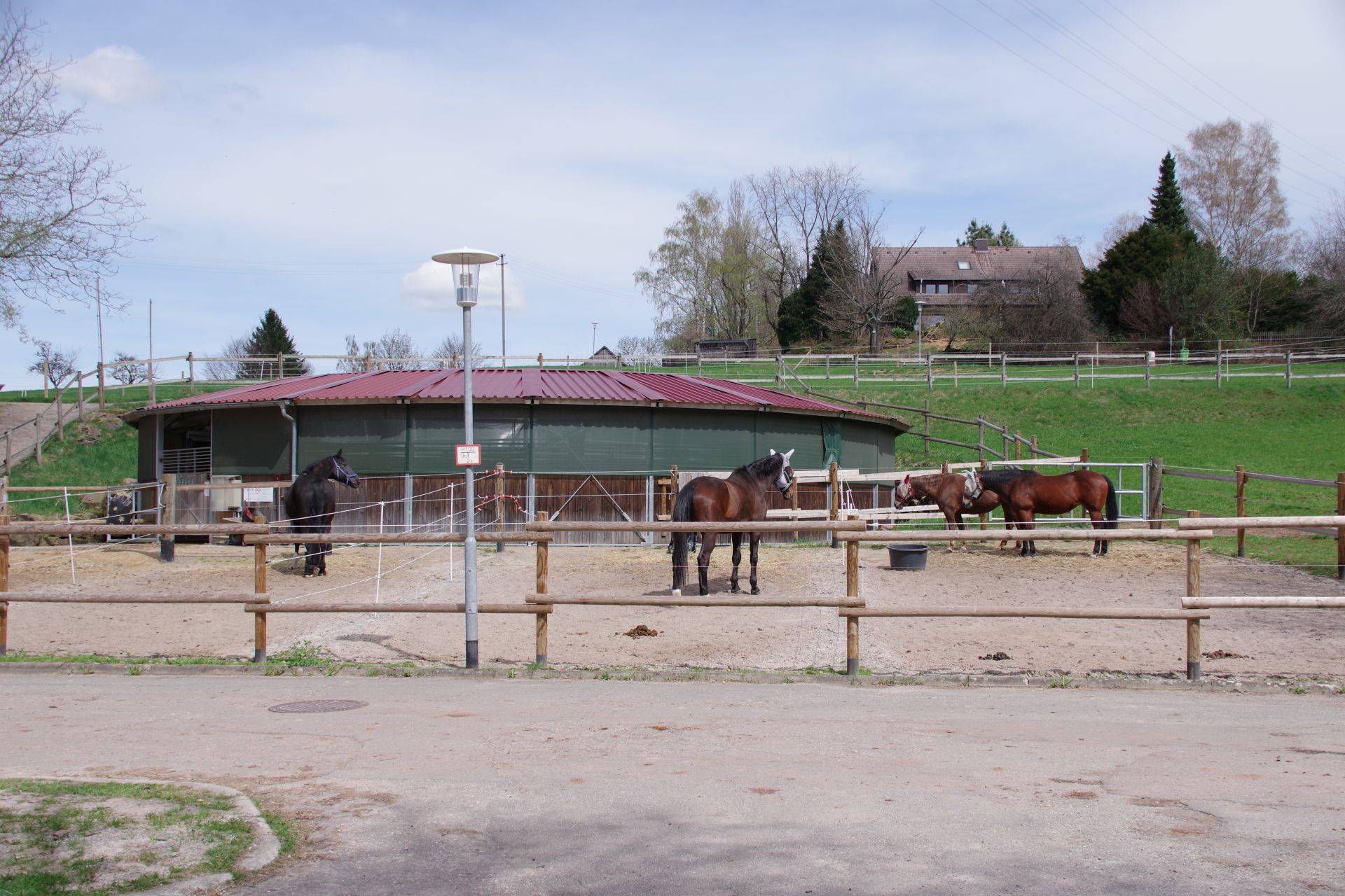 Neusatz26