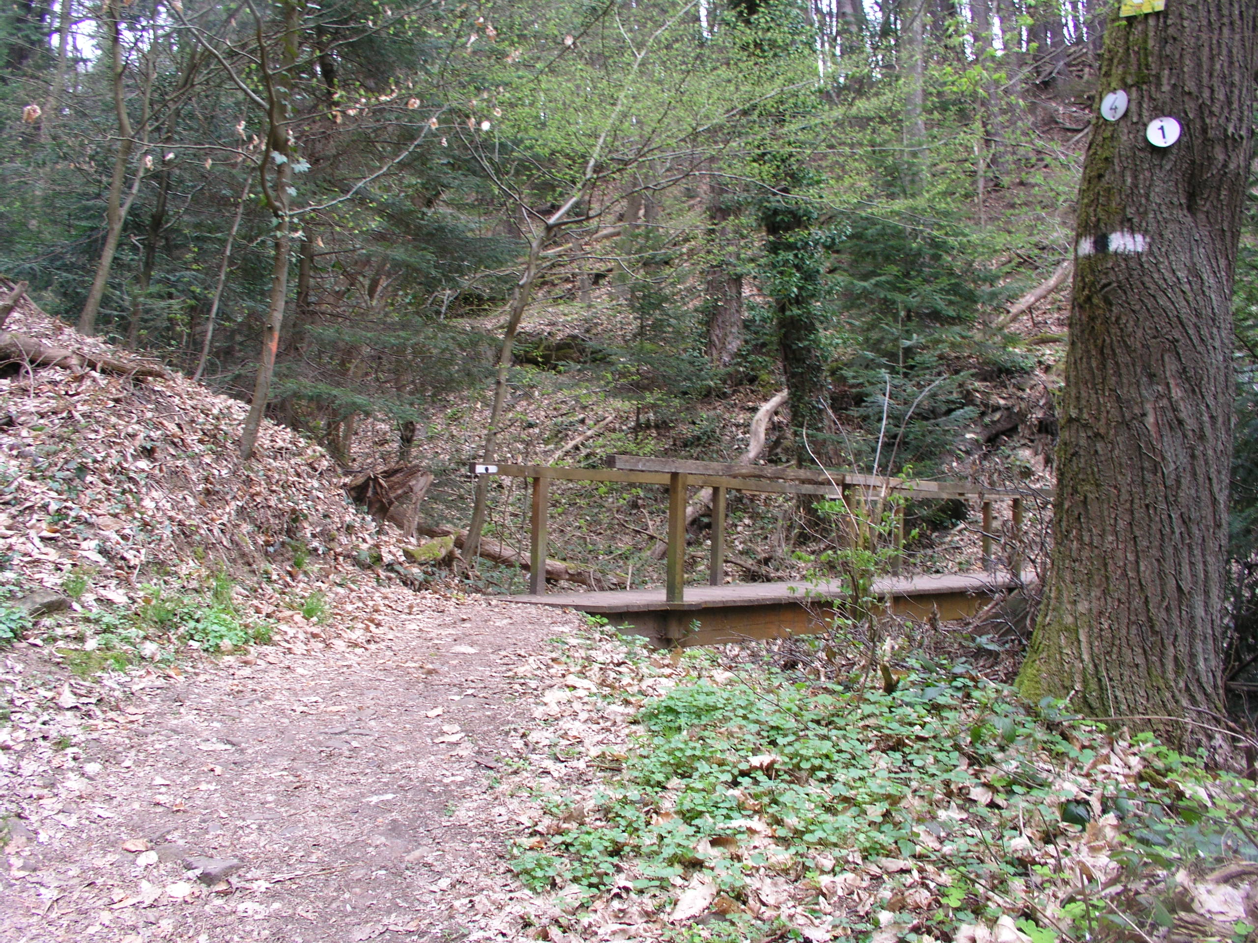 P4200413