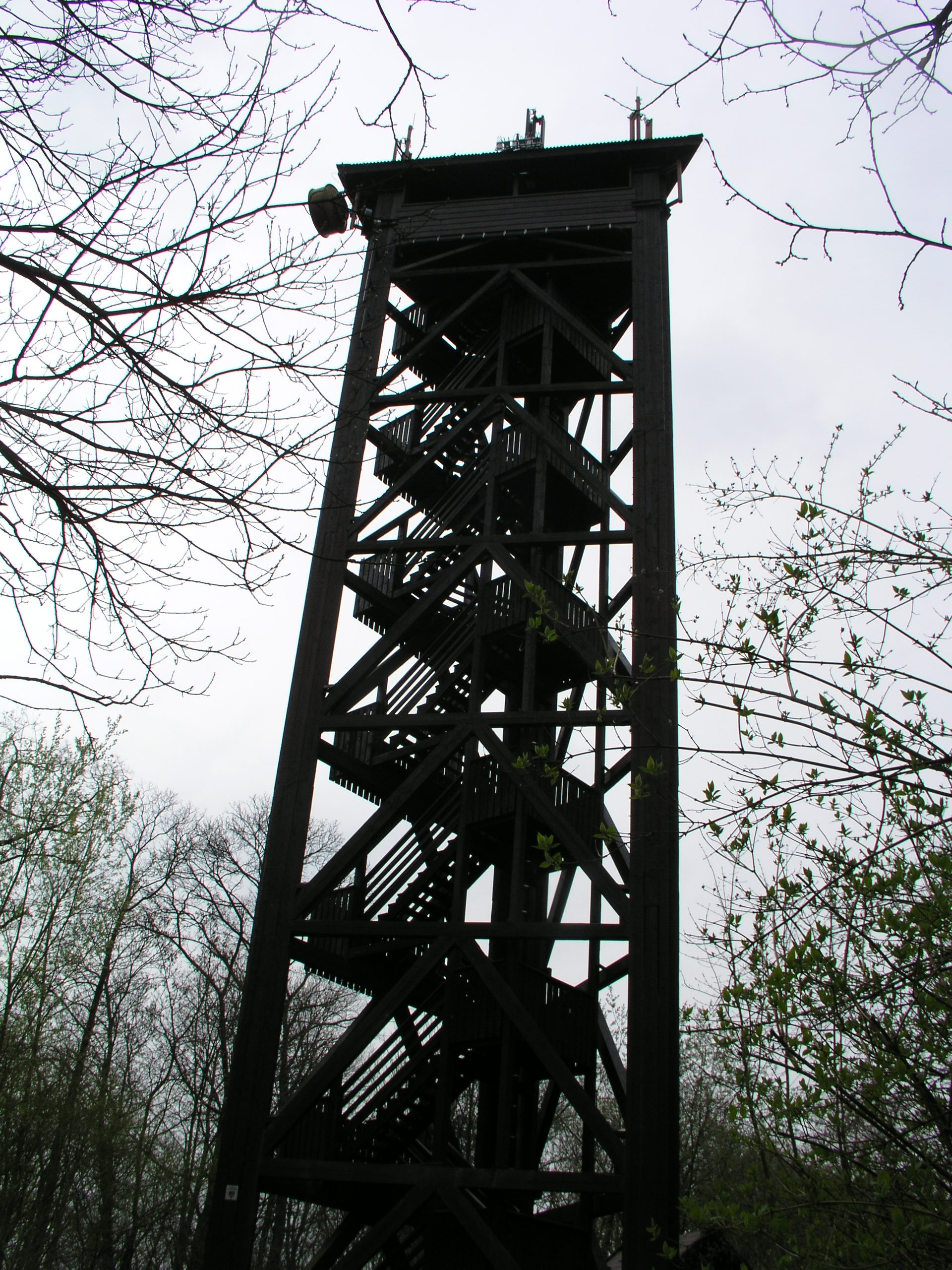 P4200417