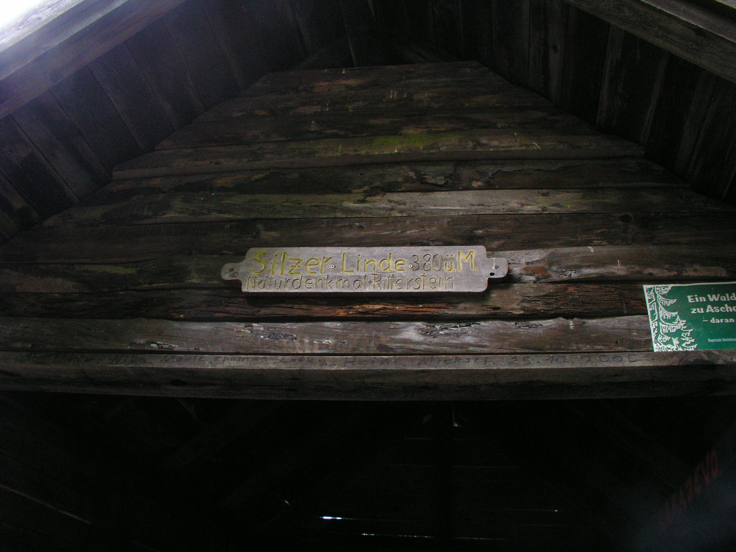 P6230485