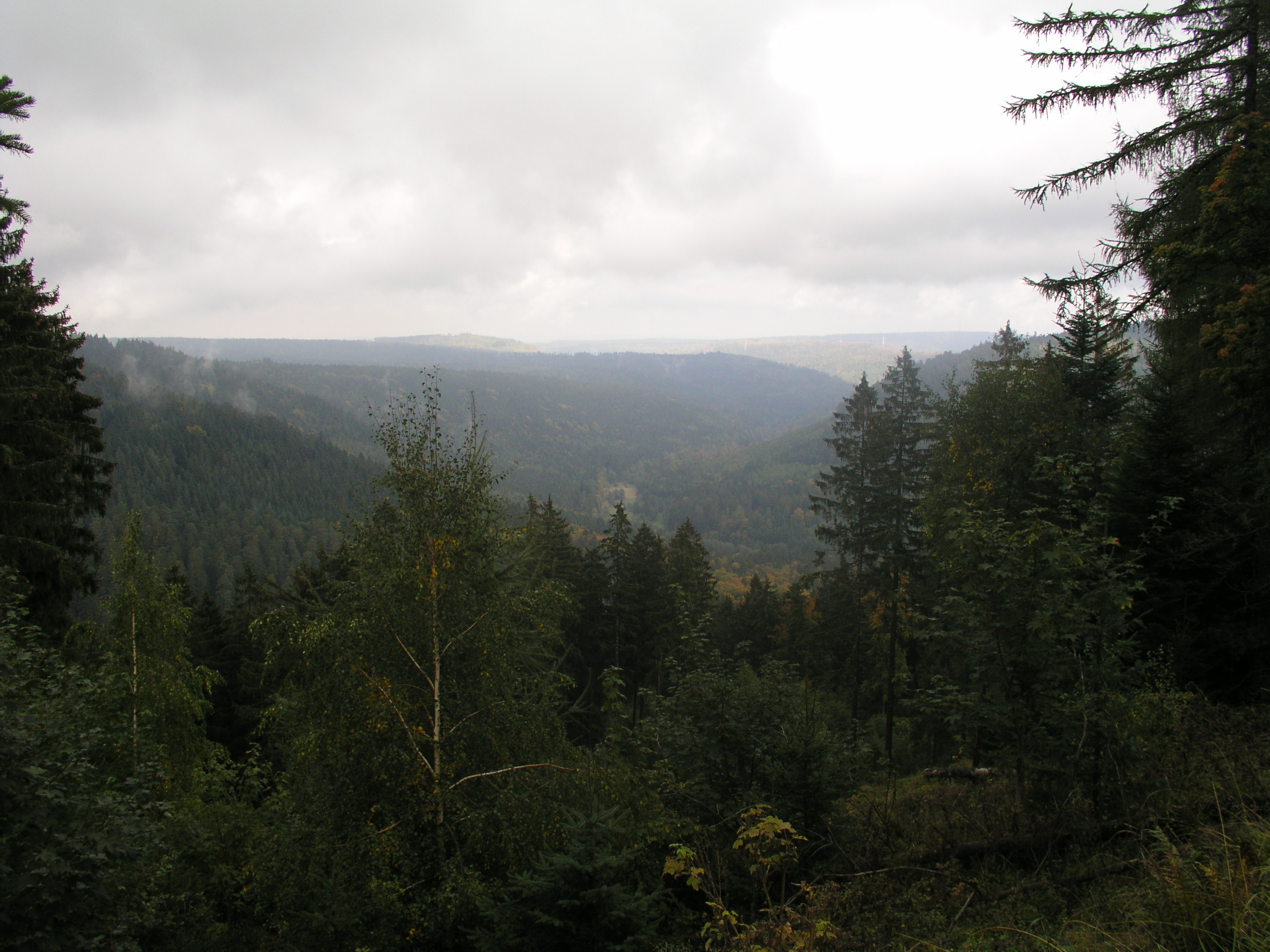 PA070049
