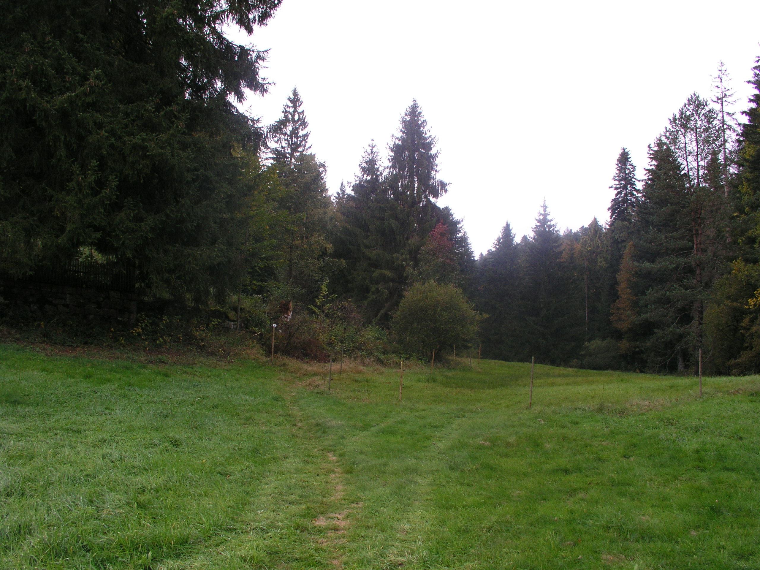 PA070054