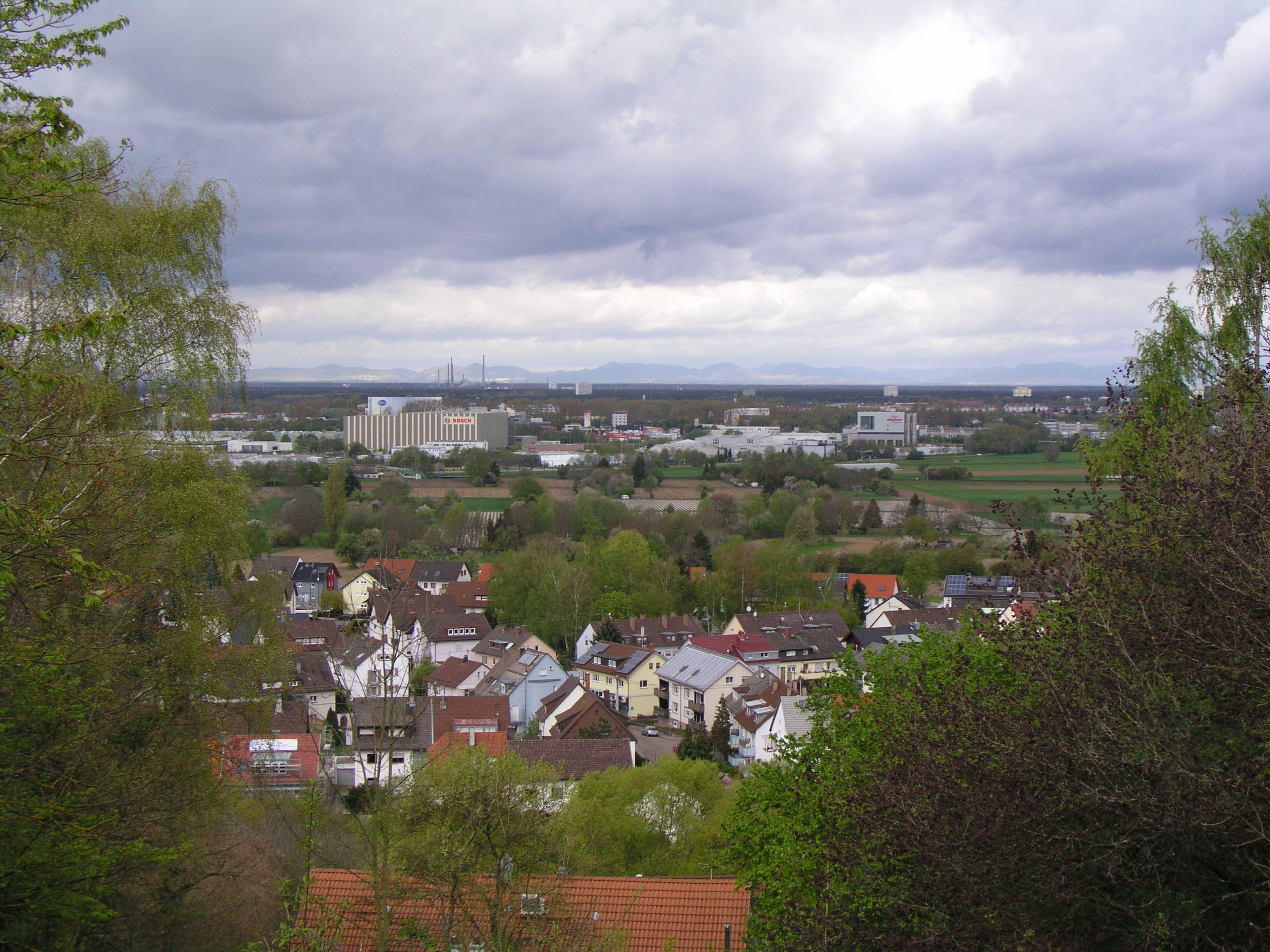 Wein04