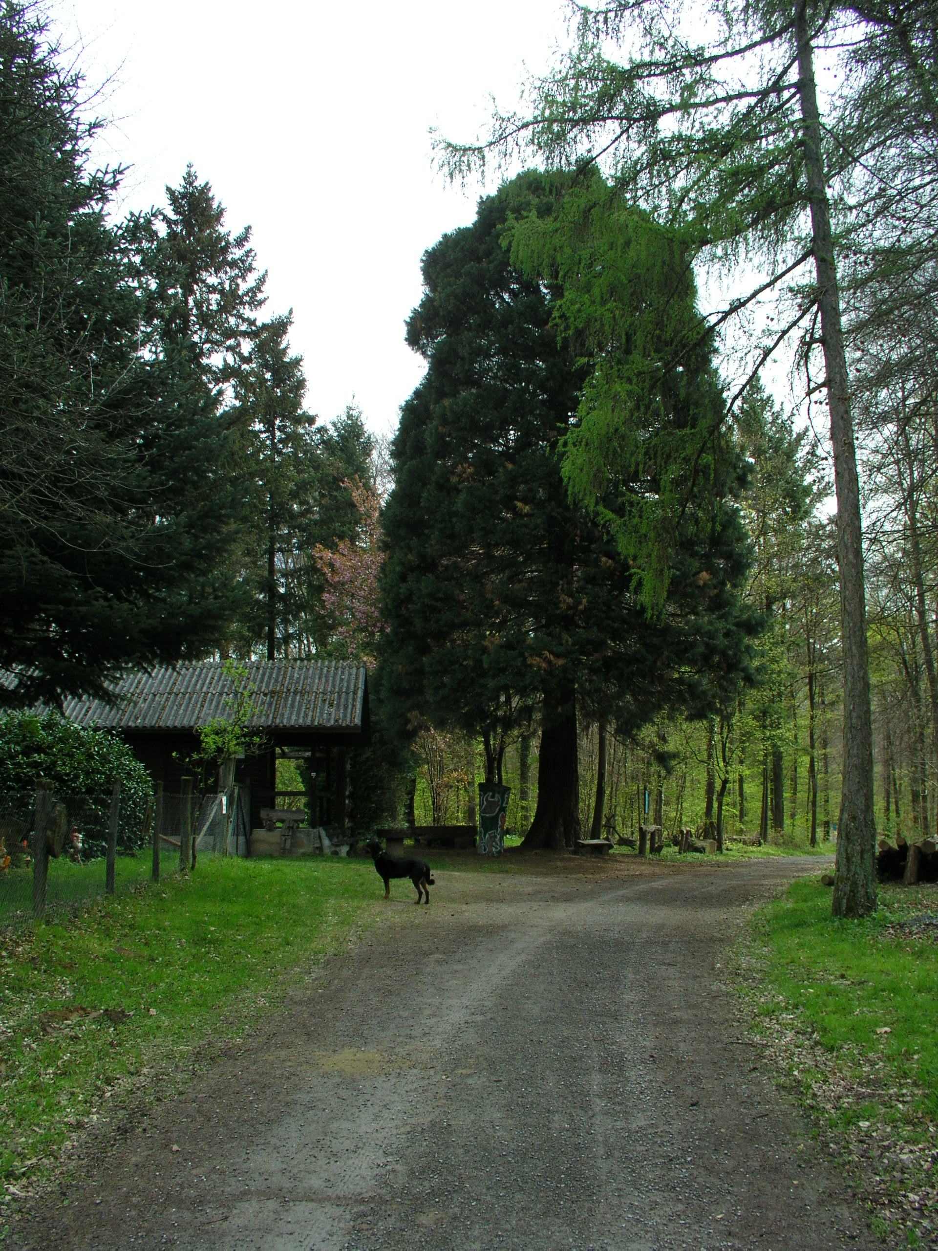 Wein05